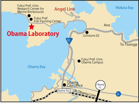 Obama Laboratory
