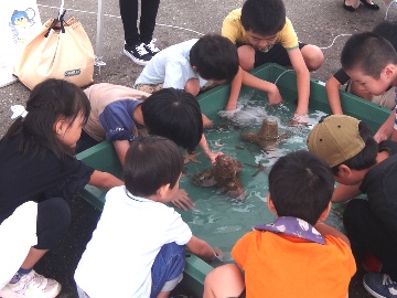 新潟の「海の生き物」にちびっ子たちは夢中です。